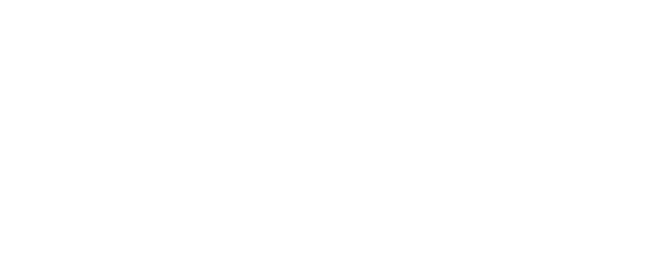 FRIZZAI!